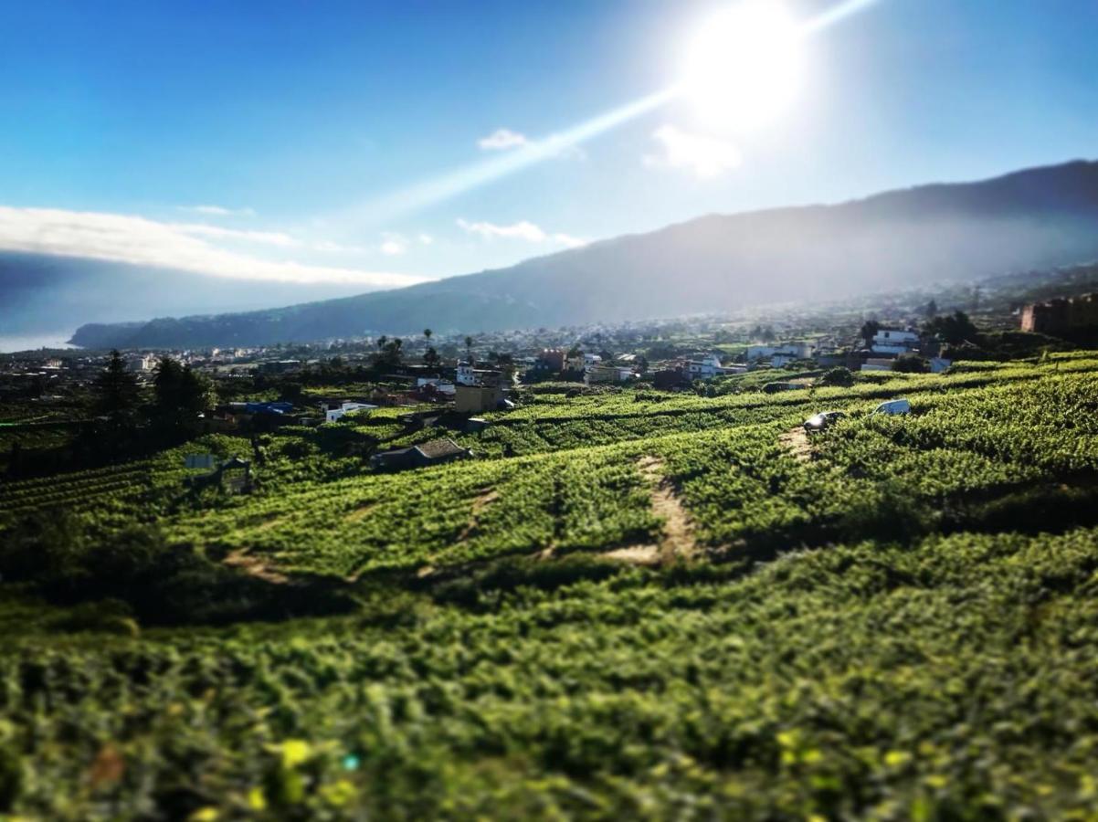 Casa Rural El Esquilon Tenerife La Orotava Dış mekan fotoğraf